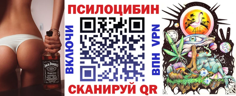 Купить  Белореченск  Галлюциногенные грибы мицелий 