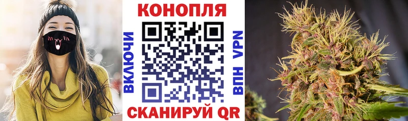 МАРИХУАНА семена  Купить  Белореченск 